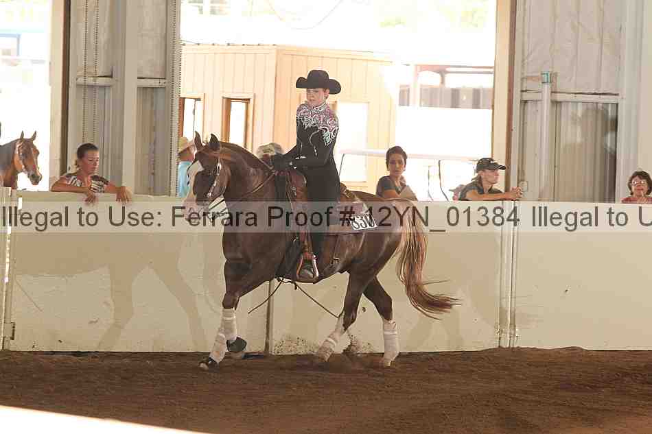 Proof 12yn_01384