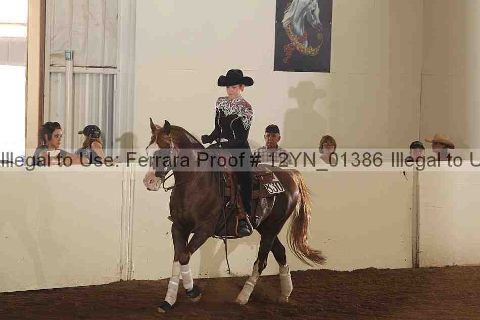 Proof 12yn_01386