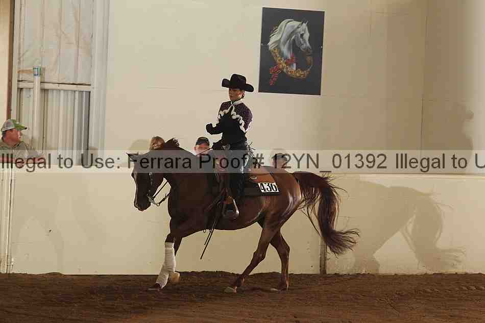 Proof 12yn_01392