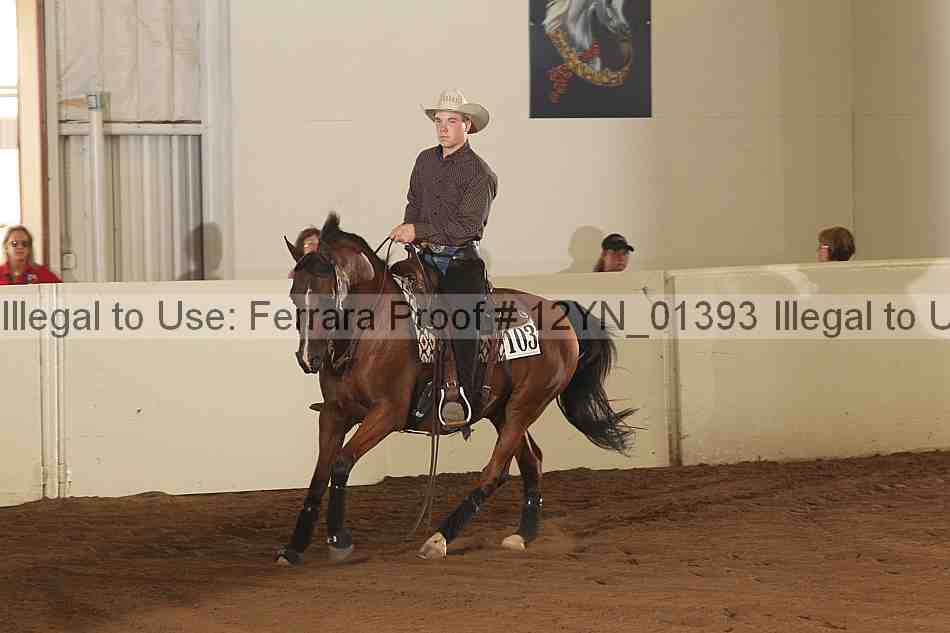Proof 12yn_01393