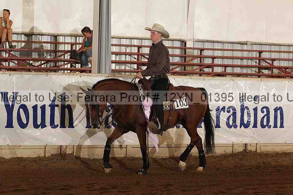 Proof 12yn_01395
