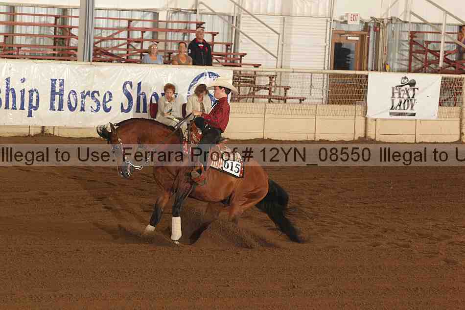 Proof 12yn_08550
