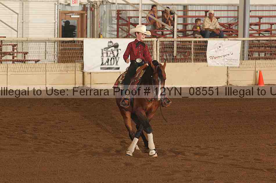 Proof 12yn_08551