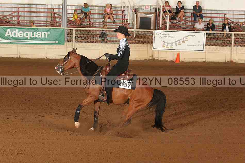 Proof 12yn_08553