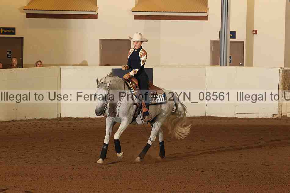 Proof 12yn_08561