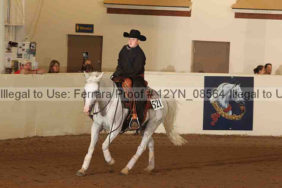 Proof 12yn_08564