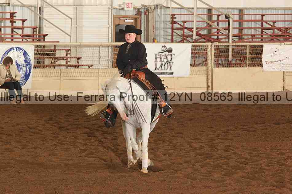 Proof 12yn_08565