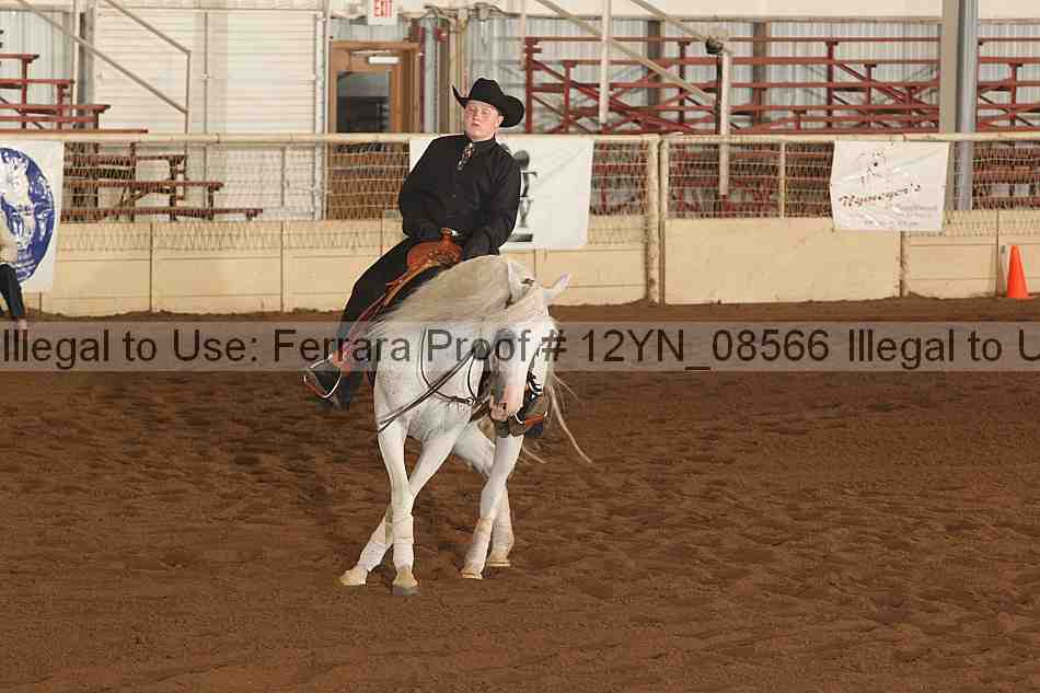 Proof 12yn_08566