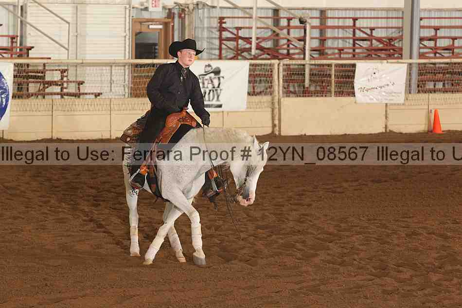 Proof 12yn_08567