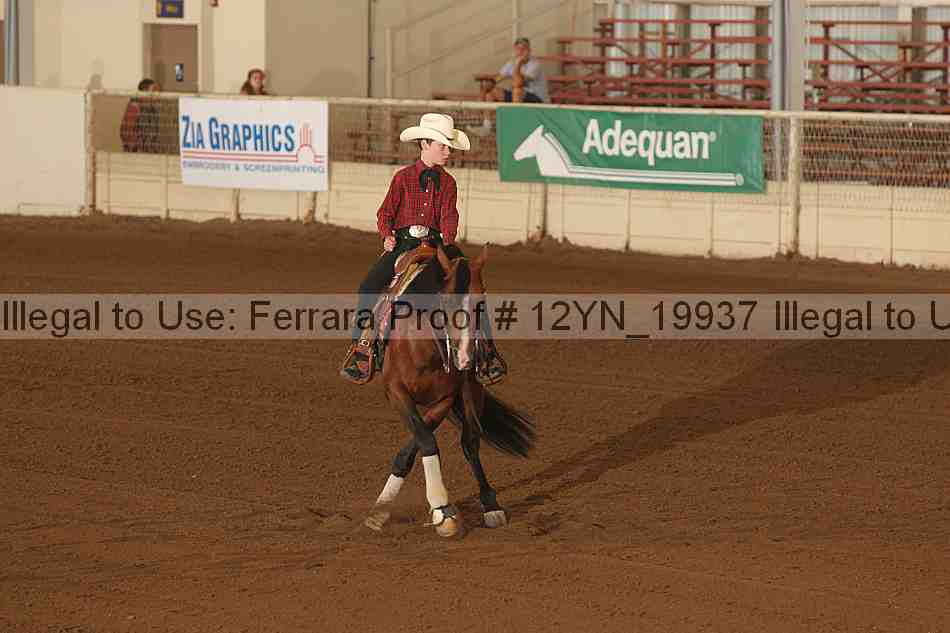 Proof 12yn_19937