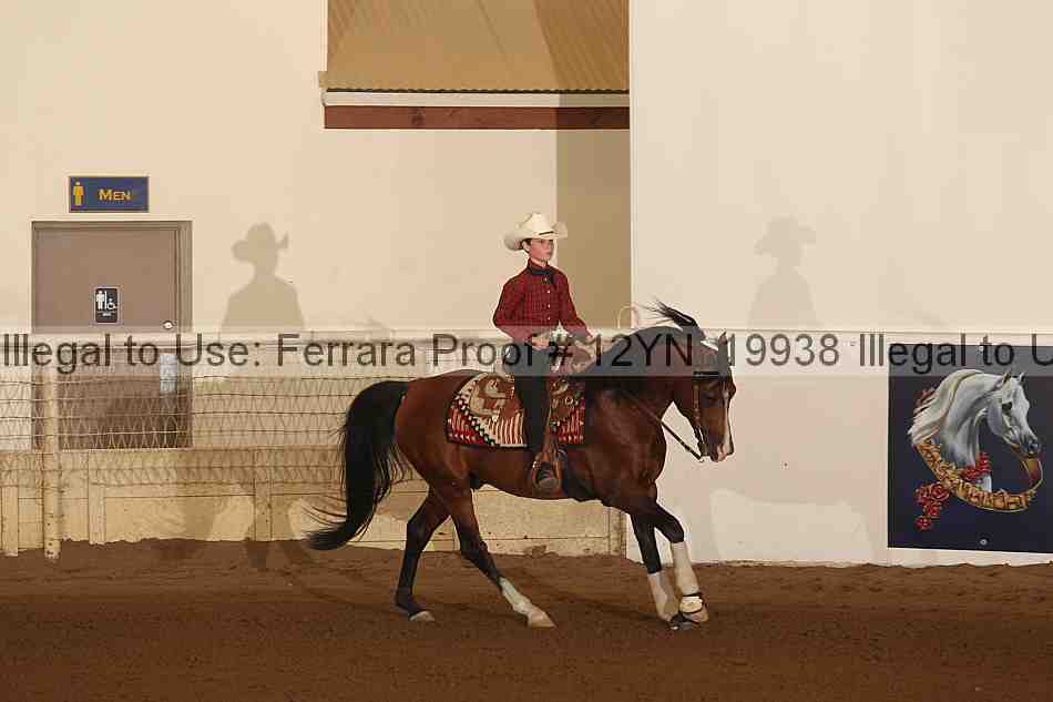 Proof 12yn_19938