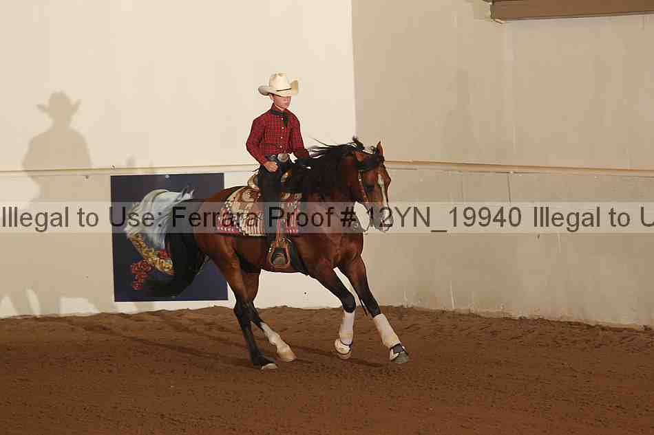 Proof 12yn_19940