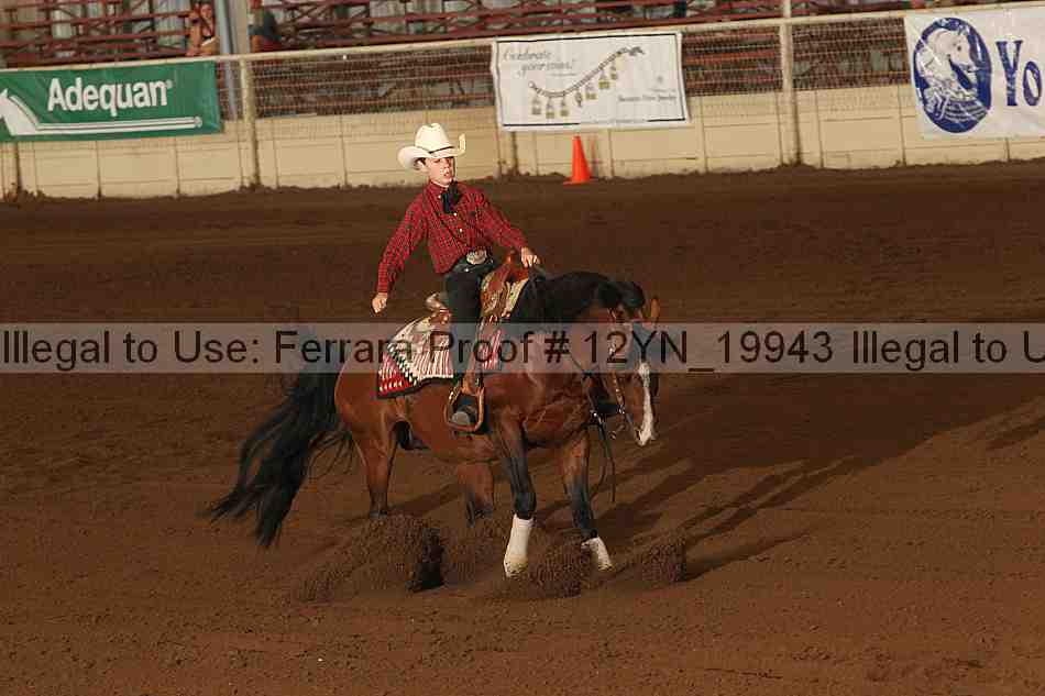 Proof 12yn_19943