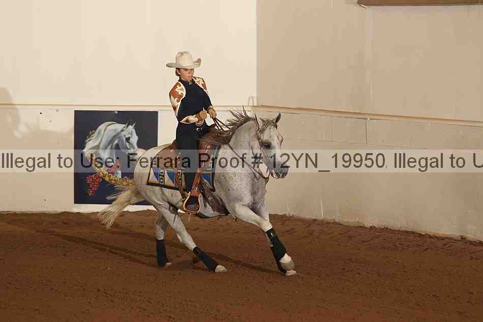 Proof 12yn_19950