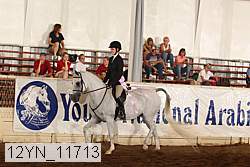 12yn_11713 proof