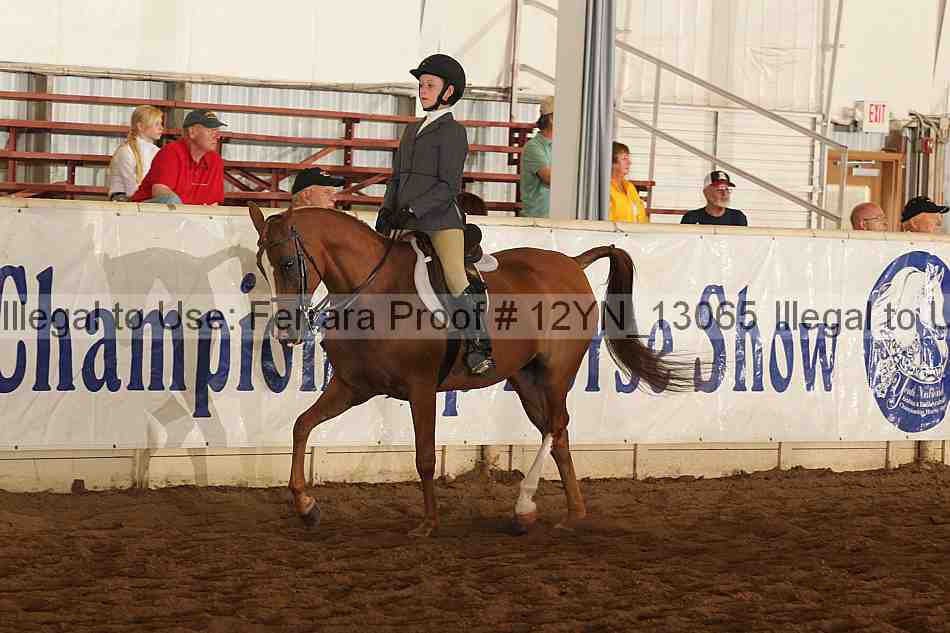 Proof 12yn_13065