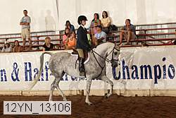 12yn_13106 proof