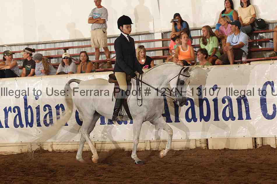 Proof 12yn_13107