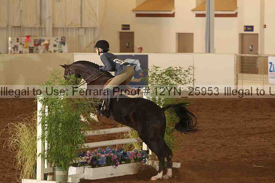 Proof 12yn_25953