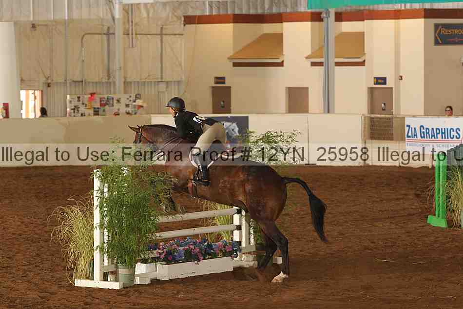Proof 12yn_25958