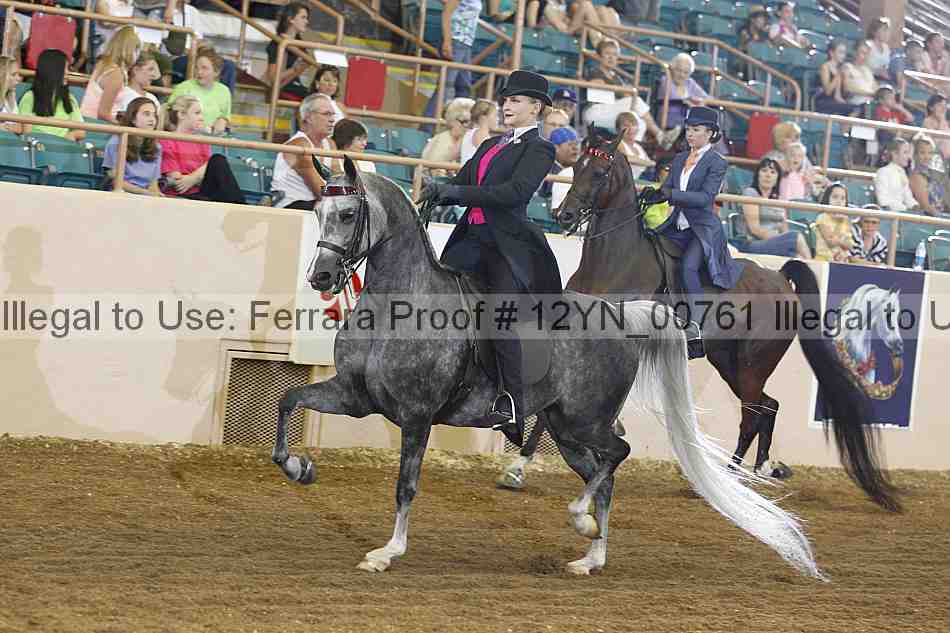 Proof 12yn_00761