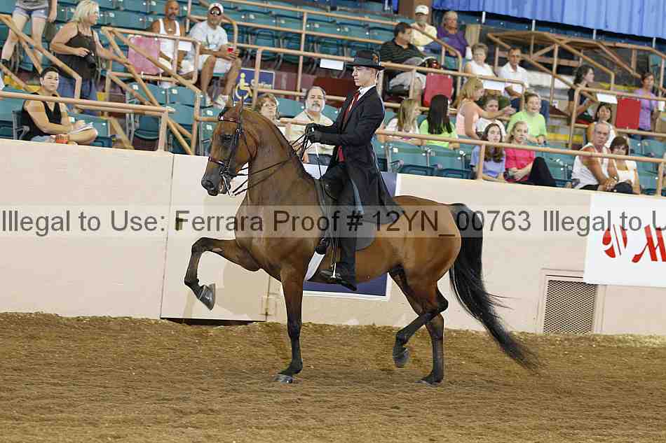 Proof 12yn_00763