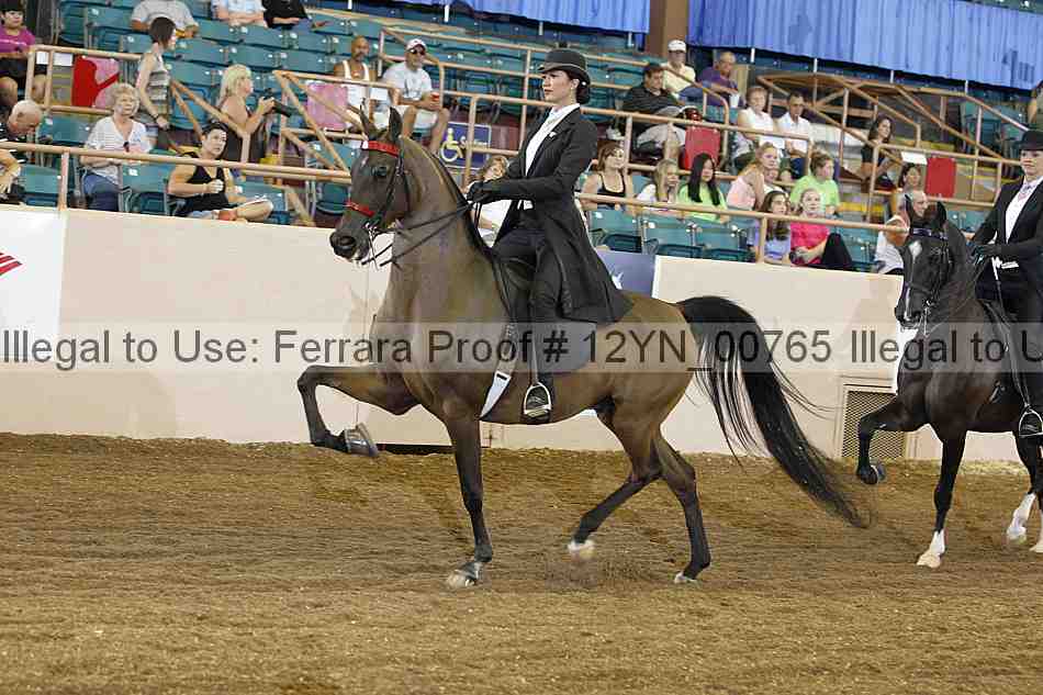 Proof 12yn_00765