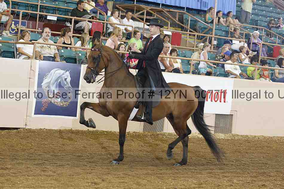 Proof 12yn_00771