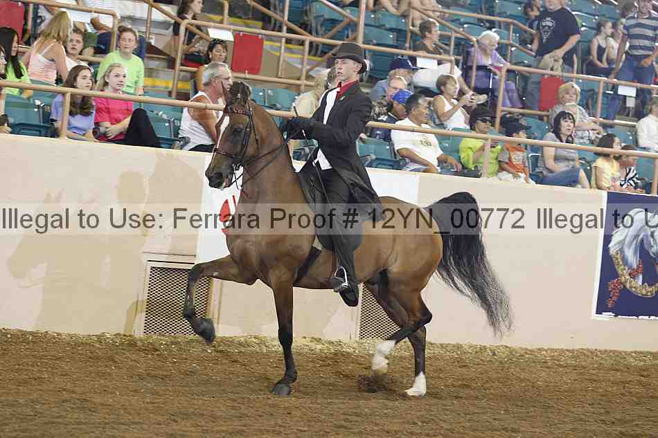 Proof 12yn_00772