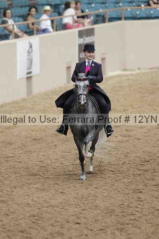 Proof 12yn_00775