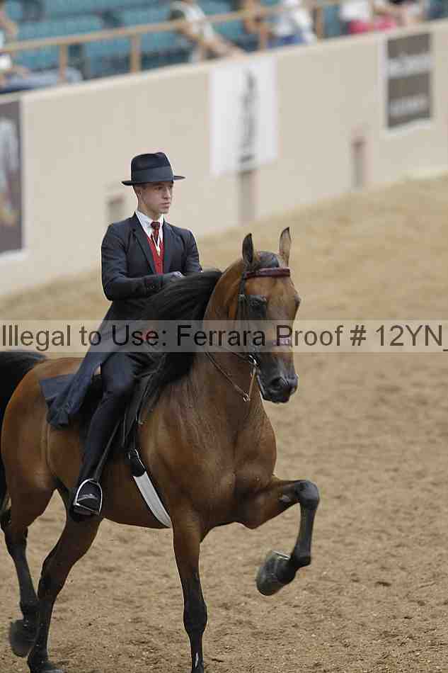 Proof 12yn_00778