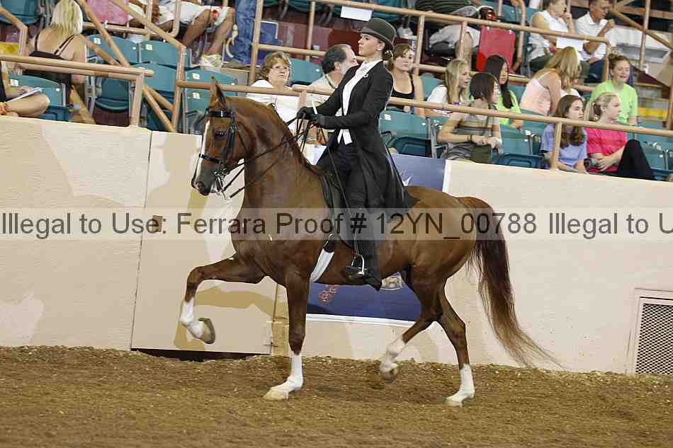 Proof 12yn_00788