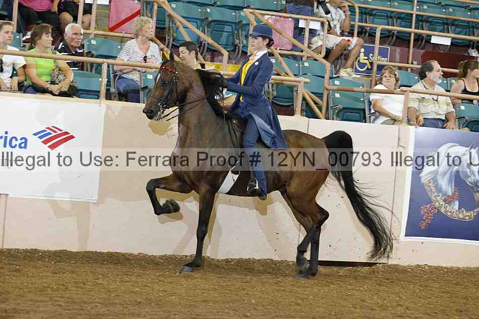 Proof 12yn_00793