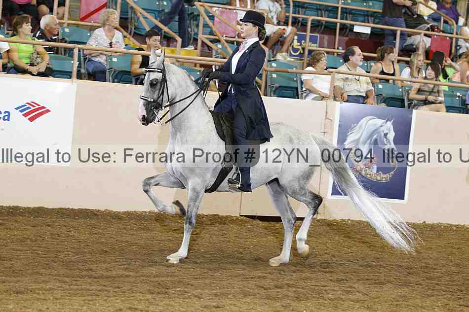 Proof 12yn_00794