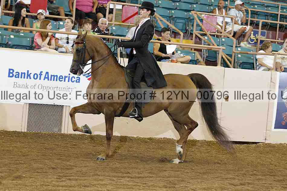 Proof 12yn_00796