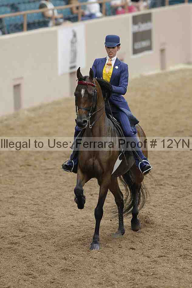 Proof 12yn_00801