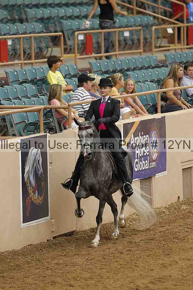 Proof 12yn_00806