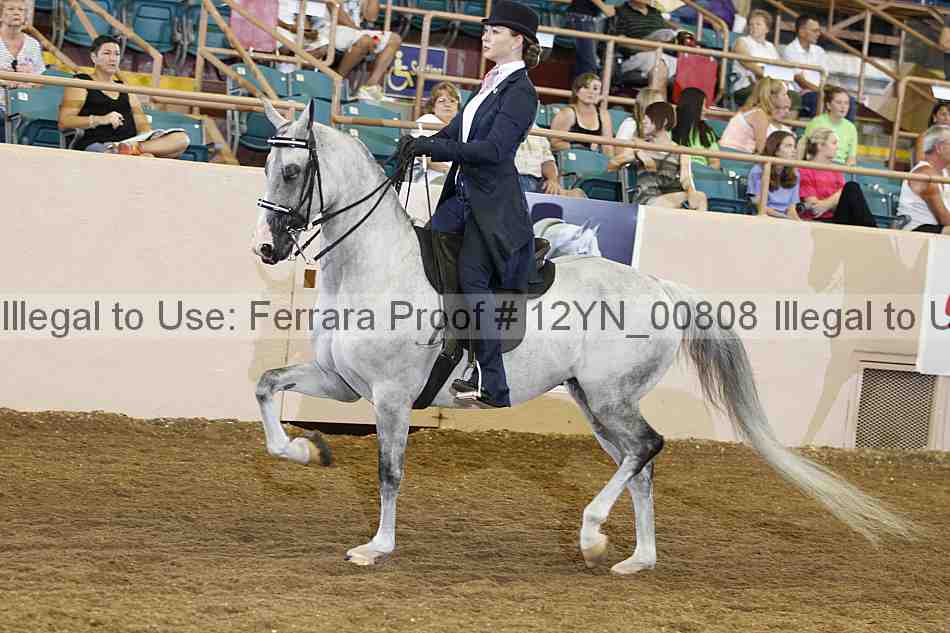 Proof 12yn_00808