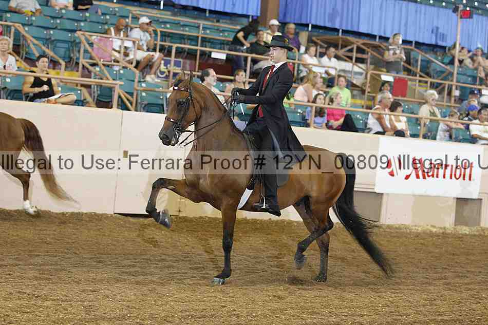 Proof 12yn_00809