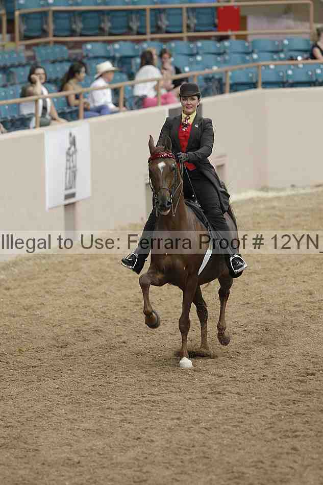 Proof 12yn_00810