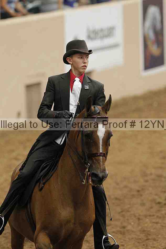 Proof 12yn_00818