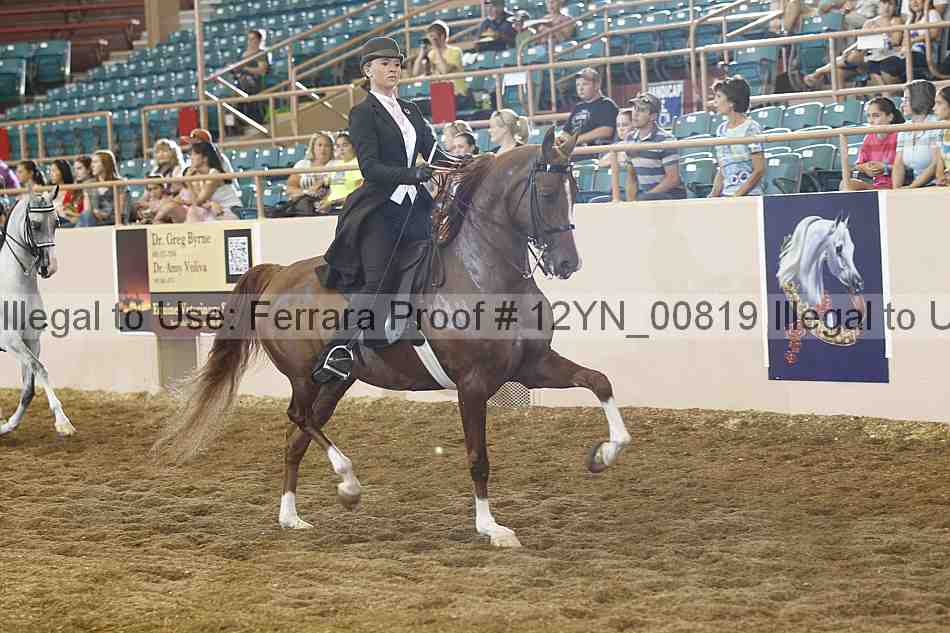 Proof 12yn_00819