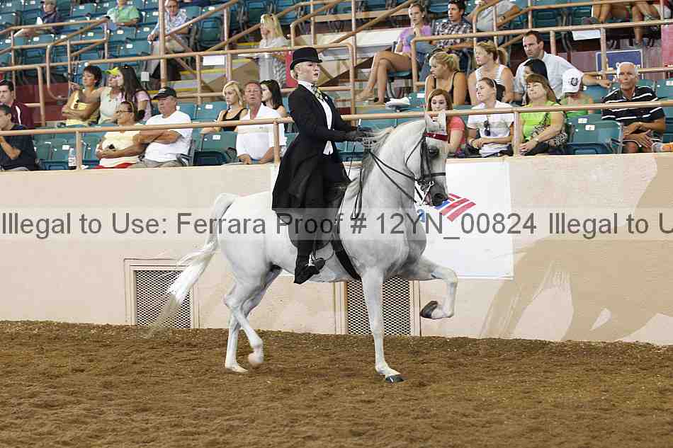 Proof 12yn_00824