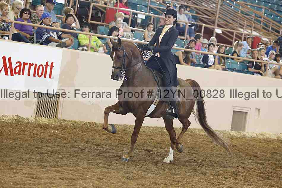 Proof 12yn_00828