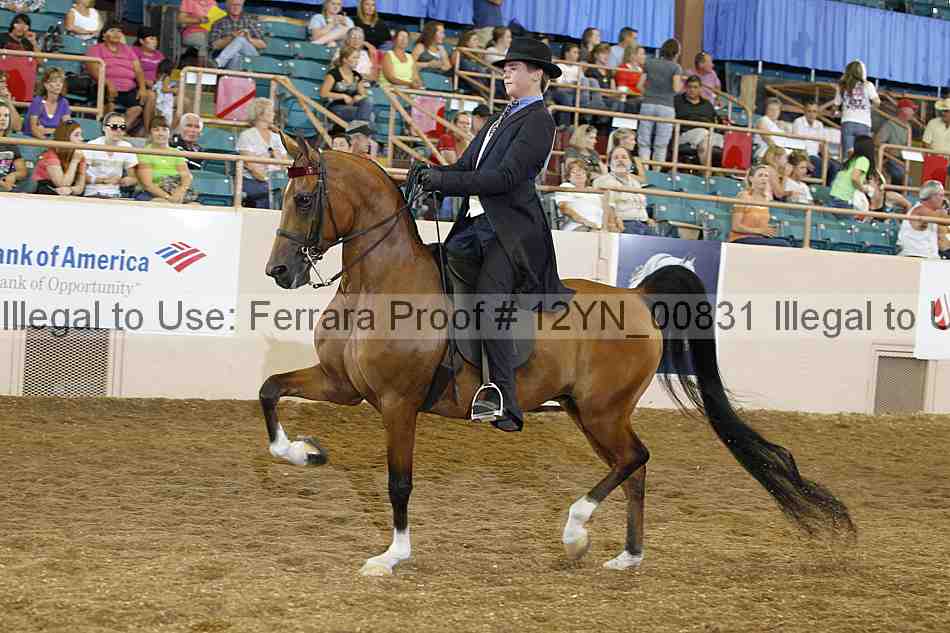 Proof 12yn_00831