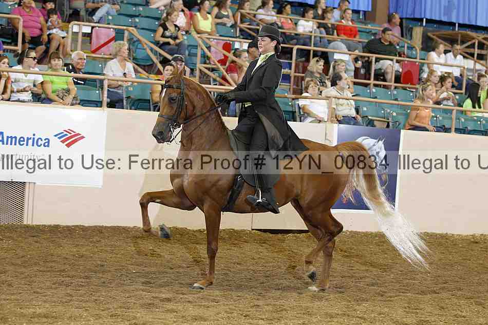 Proof 12yn_00834