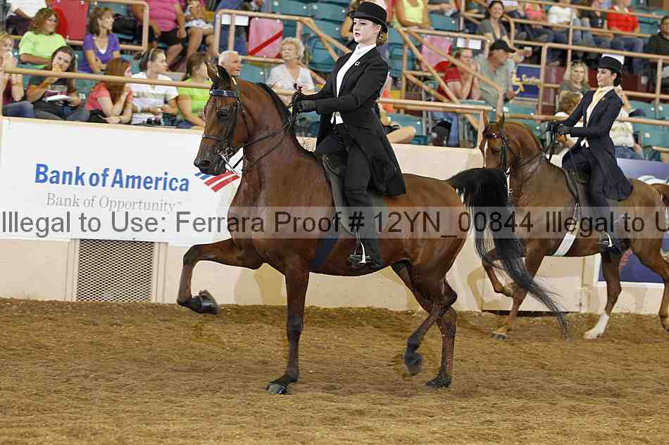 Proof 12yn_00844
