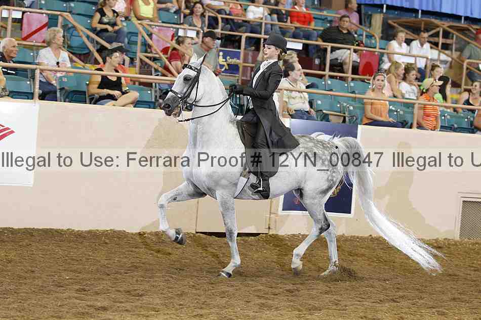 Proof 12yn_00847