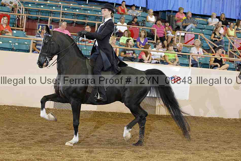 Proof 12yn_00848