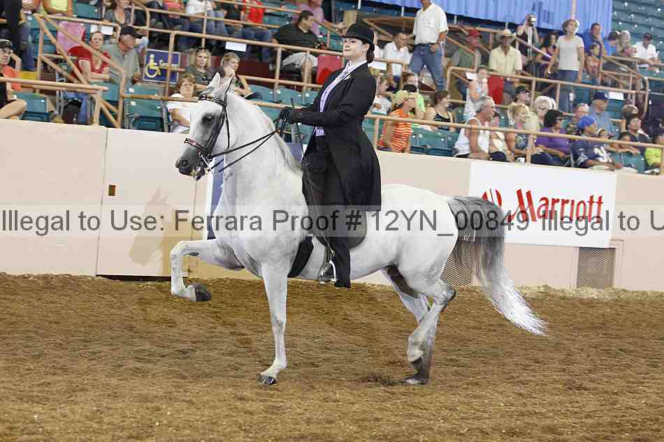 Proof 12yn_00849